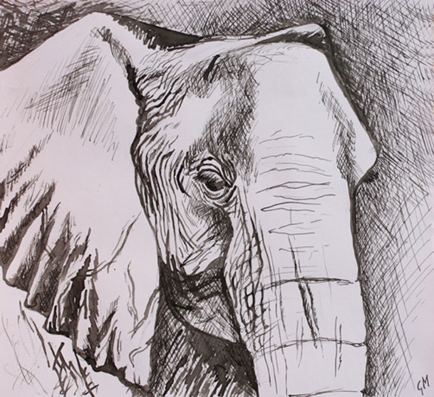 Pentekening olifant